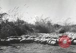 Standbild C-46 Commando Ebene Chabua Indien, 1945, aus Sekunde 48 historischem Filmmaterial Videoclip 65675060490