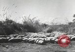 Standbild C-46 Commando Ebene Chabua Indien, 1945, aus Sekunde 49 historischem Filmmaterial Videoclip 65675060490
