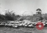 Standbild C-46 Commando Ebene Chabua Indien, 1945, aus Sekunde 50 historischem Filmmaterial Videoclip 65675060490