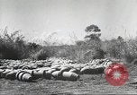 Standbild C-46 Commando Ebene Chabua Indien, 1945, aus Sekunde 51 historischem Filmmaterial Videoclip 65675060490