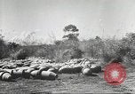 Standbild C-46 Commando Ebene Chabua Indien, 1945, aus Sekunde 52 historischem Filmmaterial Videoclip 65675060490