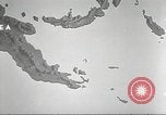 Standbild B-17 Flying Fortress New Georgia Island Solomon Islands USA, 1943, aus Sekunde 40 historischem Filmmaterial Videoclip 65675060492