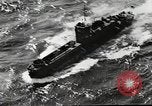 Standbild Vereinigten Staaten Truppen Guadalcanal Salomonen, 1943, aus Sekunde 56 historischem Filmmaterial Videoclip 65675060495