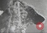 Standbild B-24 Liberator Bomber Insel Ballale Salomonen, 1943, aus Sekunde 61 historischem Filmmaterial Videoclip 65675060499