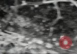 Standbild B-24 Liberator Bomber Buka Island Papua Neu Guinea, 1943, aus Sekunde 22 historischem Filmmaterial Videoclip 65675060500