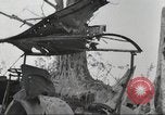Immagine di Stati Uniti truppe Munda New Georgia Isole Salomone, 1943, secondo 19 filmato di repertorio 65675060503