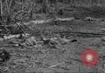 Immagine di Stati Uniti truppe Munda New Georgia Isole Salomone, 1943, secondo 31 filmato di repertorio 65675060503