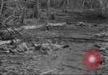 Immagine di Stati Uniti truppe Munda New Georgia Isole Salomone, 1943, secondo 32 filmato di repertorio 65675060503