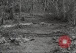 Immagine di Stati Uniti truppe Munda New Georgia Isole Salomone, 1943, secondo 34 filmato di repertorio 65675060503