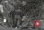 Immagine di Stati Uniti truppe Munda New Georgia Isole Salomone, 1943, secondo 35 filmato di repertorio 65675060503