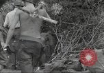 Immagine di Stati Uniti truppe Munda New Georgia Isole Salomone, 1943, secondo 37 filmato di repertorio 65675060503