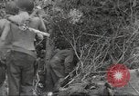 Immagine di Stati Uniti truppe Munda New Georgia Isole Salomone, 1943, secondo 38 filmato di repertorio 65675060503