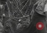 Immagine di Stati Uniti truppe Munda New Georgia Isole Salomone, 1943, secondo 41 filmato di repertorio 65675060503