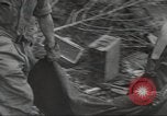 Immagine di Stati Uniti truppe Munda New Georgia Isole Salomone, 1943, secondo 42 filmato di repertorio 65675060503