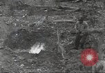 Immagine di Stati Uniti truppe Munda New Georgia Isole Salomone, 1943, secondo 51 filmato di repertorio 65675060503