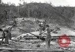 Immagine di Stati Uniti truppe Munda New Georgia Isole Salomone, 1943, secondo 55 filmato di repertorio 65675060503