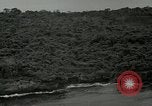 Standbild Dschungel San Jose Island Panama, 1944, aus Sekunde 41 historischem Filmmaterial Videoclip 65675060515