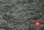 Standbild Dschungel San Jose Island Panama, 1944, aus Sekunde 42 historischem Filmmaterial Videoclip 65675060515