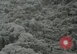 Standbild Dschungel San Jose Island Panama, 1944, aus Sekunde 43 historischem Filmmaterial Videoclip 65675060515