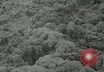 Standbild Dschungel San Jose Island Panama, 1944, aus Sekunde 44 historischem Filmmaterial Videoclip 65675060515