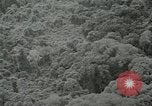 Standbild Dschungel San Jose Island Panama, 1944, aus Sekunde 45 historischem Filmmaterial Videoclip 65675060515