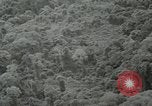 Standbild Dschungel San Jose Island Panama, 1944, aus Sekunde 46 historischem Filmmaterial Videoclip 65675060515
