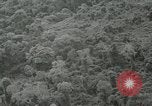 Standbild Dschungel San Jose Island Panama, 1944, aus Sekunde 47 historischem Filmmaterial Videoclip 65675060515