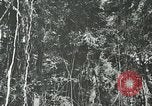 Standbild Dschungel San Jose Island Panama, 1944, aus Sekunde 54 historischem Filmmaterial Videoclip 65675060515