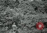 Standbild Dschungel San Jose Island Panama, 1944, aus Sekunde 61 historischem Filmmaterial Videoclip 65675060515