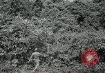 Standbild Dschungel San Jose Island Panama, 1944, aus Sekunde 62 historischem Filmmaterial Videoclip 65675060515