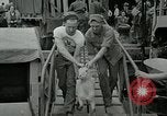 Standbild der Armee San Jose Island Panama, 1944, aus Sekunde 14 historischem Filmmaterial Videoclip 65675060516
