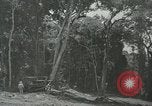 Standbild der Armee San Jose Island Panama, 1944, aus Sekunde 37 historischem Filmmaterial Videoclip 65675060516