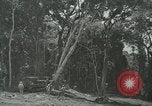 Standbild der Armee San Jose Island Panama, 1944, aus Sekunde 38 historischem Filmmaterial Videoclip 65675060516