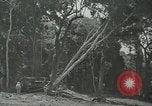 Standbild der Armee San Jose Island Panama, 1944, aus Sekunde 39 historischem Filmmaterial Videoclip 65675060516