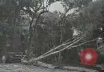 Standbild der Armee San Jose Island Panama, 1944, aus Sekunde 40 historischem Filmmaterial Videoclip 65675060516