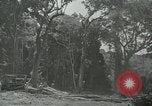 Standbild der Armee San Jose Island Panama, 1944, aus Sekunde 41 historischem Filmmaterial Videoclip 65675060516
