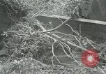 Standbild der Armee San Jose Island Panama, 1944, aus Sekunde 42 historischem Filmmaterial Videoclip 65675060516