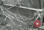 Standbild der Armee San Jose Island Panama, 1944, aus Sekunde 43 historischem Filmmaterial Videoclip 65675060516