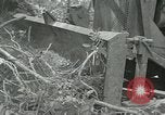 Standbild der Armee San Jose Island Panama, 1944, aus Sekunde 44 historischem Filmmaterial Videoclip 65675060516