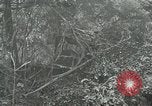 Standbild der Armee San Jose Island Panama, 1944, aus Sekunde 49 historischem Filmmaterial Videoclip 65675060516