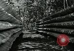 Standbild National Defense Research Committee Meetings San Jose Island Panama, 1944, aus Sekunde 17 historischem Filmmaterial Videoclip 65675060517