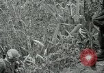 Standbild Vereinigten Staaten Truppen San Jose Island Panama, 1944, aus Sekunde 27 historischem Filmmaterial Videoclip 65675060518