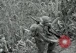 Standbild Vereinigten Staaten Truppen San Jose Island Panama, 1944, aus Sekunde 29 historischem Filmmaterial Videoclip 65675060518