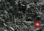 Standbild Vereinigten Staaten Truppen San Jose Island Panama, 1944, aus Sekunde 45 historischem Filmmaterial Videoclip 65675060518