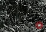 Standbild Vereinigten Staaten Truppen San Jose Island Panama, 1944, aus Sekunde 46 historischem Filmmaterial Videoclip 65675060518