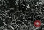 Standbild Vereinigten Staaten Truppen San Jose Island Panama, 1944, aus Sekunde 47 historischem Filmmaterial Videoclip 65675060518