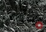 Standbild Vereinigten Staaten Truppen San Jose Island Panama, 1944, aus Sekunde 48 historischem Filmmaterial Videoclip 65675060518