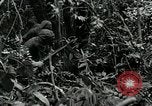 Standbild Vereinigten Staaten Truppen San Jose Island Panama, 1944, aus Sekunde 49 historischem Filmmaterial Videoclip 65675060518