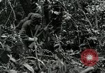 Standbild Vereinigten Staaten Truppen San Jose Island Panama, 1944, aus Sekunde 50 historischem Filmmaterial Videoclip 65675060518