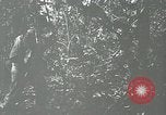 Standbild Vereinigten Staaten Truppen San Jose Island Panama, 1944, aus Sekunde 53 historischem Filmmaterial Videoclip 65675060518